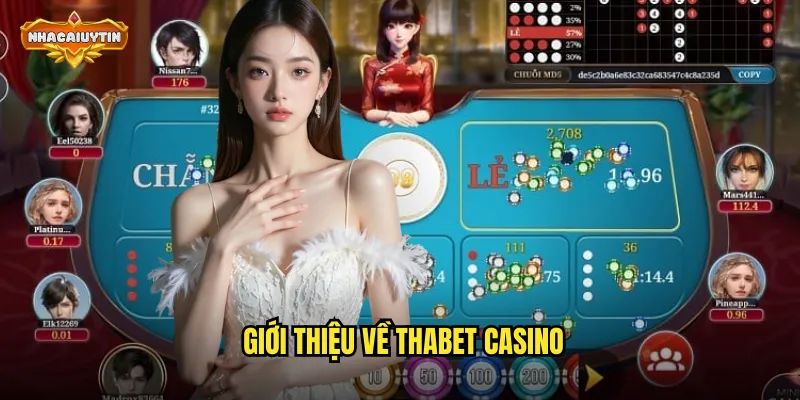 Giới thiệu về Thabet casino